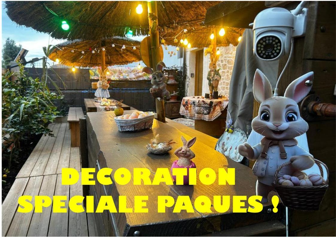 Les Chambres De Paulette Chambres A Theme Jack Sparrow سانت ماري لا مير المظهر الخارجي الصورة